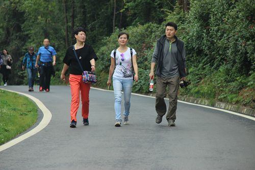 刑司十三水在线
工会组织教职工春游活动